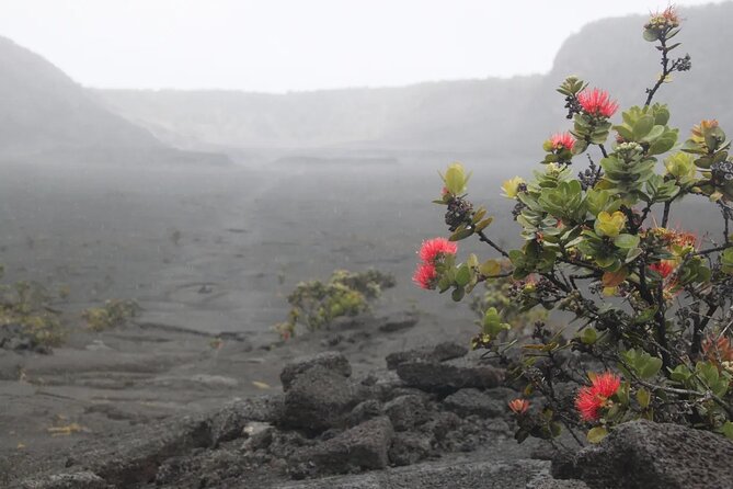 Hilo Cruise Ship Excursion: Volcanoes National Park Rainbow Falls - Hawaii Volcanoes National Park in a short window