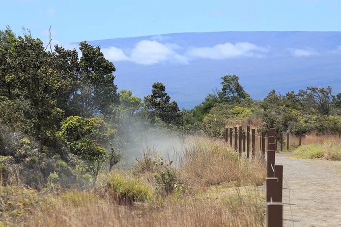 Hilo Cruise Ship Excursion: Volcanoes National Park Rainbow Falls - Halema’uma’u and the short walk near the caldera