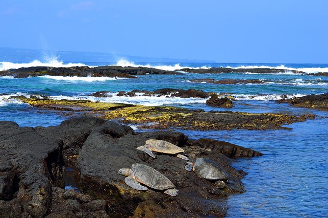Hilo Shore Excursion: Volcanoes National Park & Black Sand Beach - Macadamia treats and a practical lunch break
