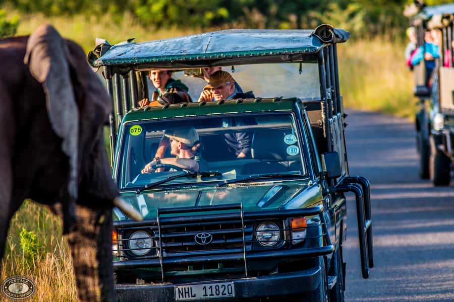Hluhluwe-Imfolozi: Big 5 Full or Half-Day Safari - Why Hluhluwe-Imfolozi is worth your safari day
