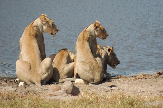 Hluhluwe/iMfolozi Game Reserve Full Day Game Drive - The early road to Nyalazi Gate