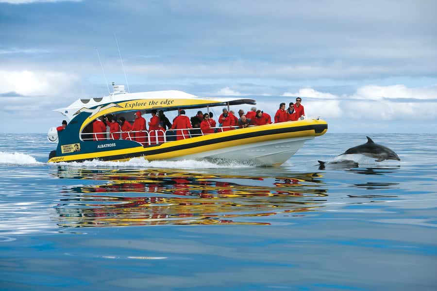 Hobart: Bruny Island Wilderness Coast Eco Cruise with Lunch - The ferry crossing and morning tea