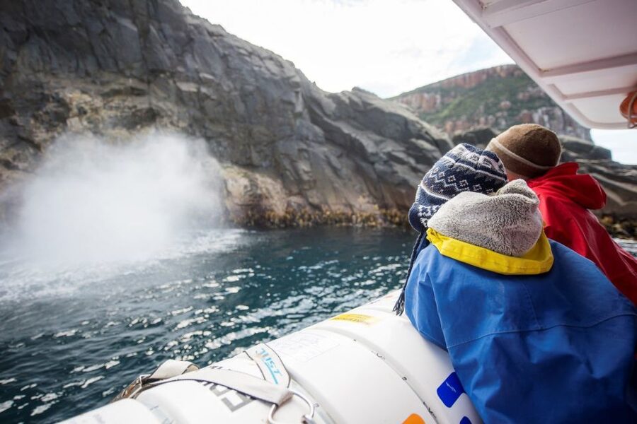 Hobart: Bruny Island Wilderness Coast Eco Cruise with Lunch - Wildlife without guarantees