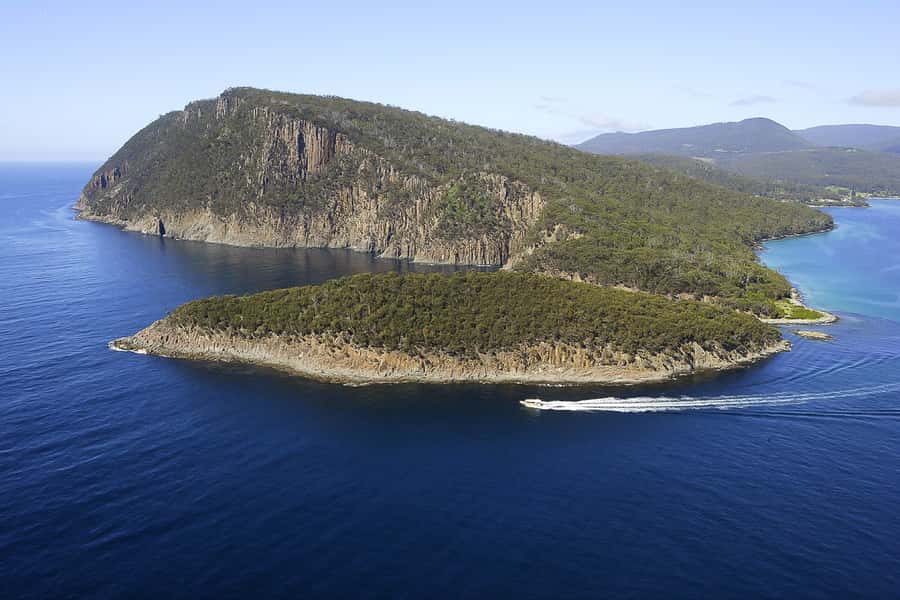 Hobart: Bruny Island Wilderness Coast Eco Cruise with Lunch - What $194 buys you