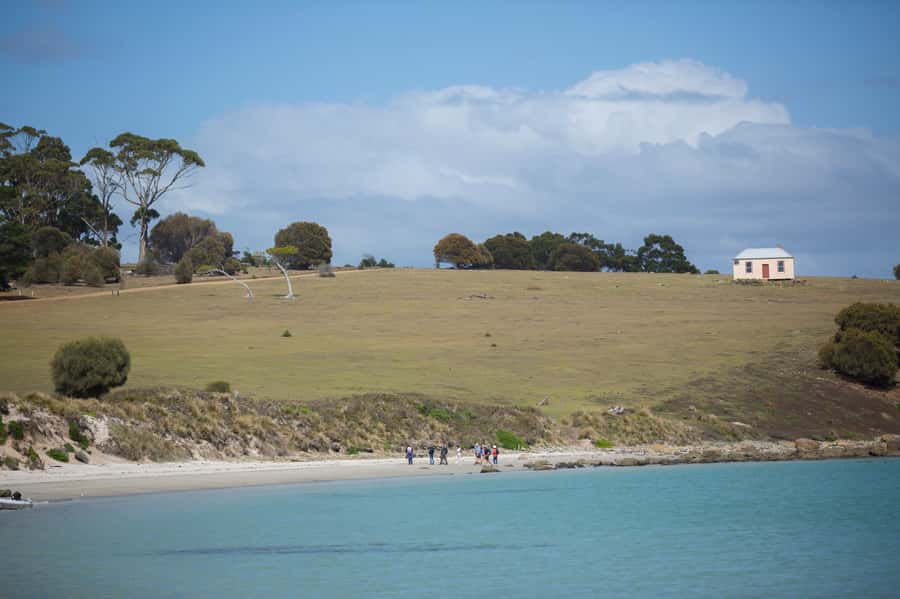 Hobart: Maria Island National Park Active Full-Day Tour - Fossil Cliffs and 300 million years of exposed geology