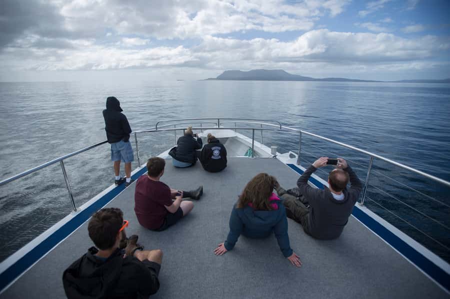 Hobart: Maria Island National Park Active Full-Day Tour - What the 10-hour schedule feels like