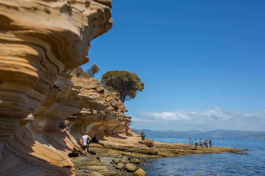 Hobart: Maria Island National Park Active Full-Day Tour - The coach and ferry set the rhythm