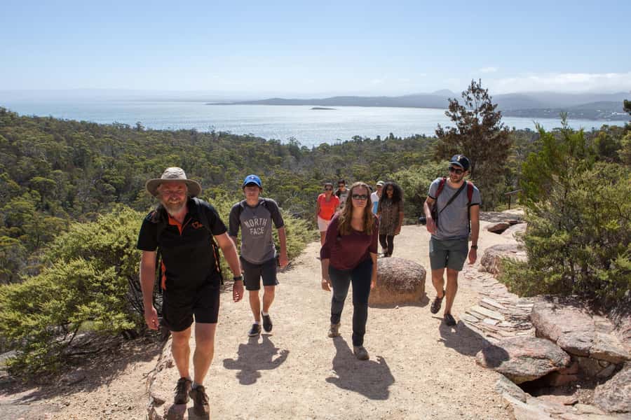 Hobart: Wineglass Bay & Freycinet National Park Active Tour - Choosing the beach walk or the shorter route