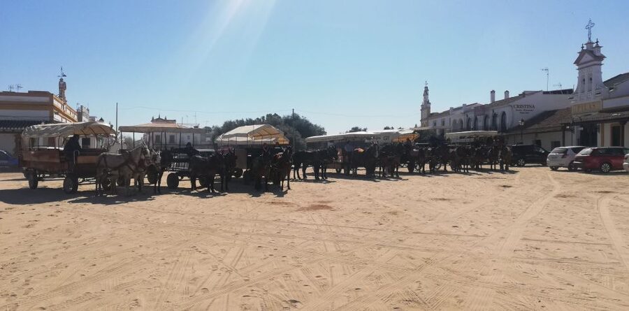 Horse-Drawn Carriage Route Through Doñana Park and The Villa - Why this route is different from a standard village tour
