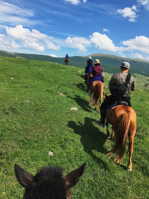 Horse riding experience in Terelj National park 1 day - Key points at a glance