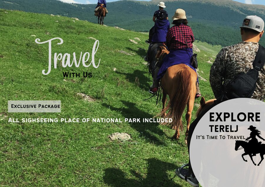 Horse riding experience in Terelj National park 1 day - What the one-hour horse ride is really like