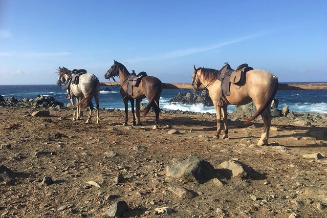 Horseback Ride Tour to Natural Pool in Arikok National Park - The coastline and Conchi natural pool