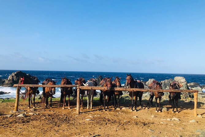 Horseback Ride Tour to Natural Pool in Arikok National Park - Is $155 a fair price?