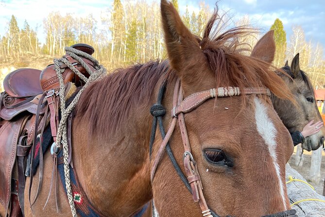 Horseback Riding with Grand Teton Views in Jackson Hole - How the ride suits different riders