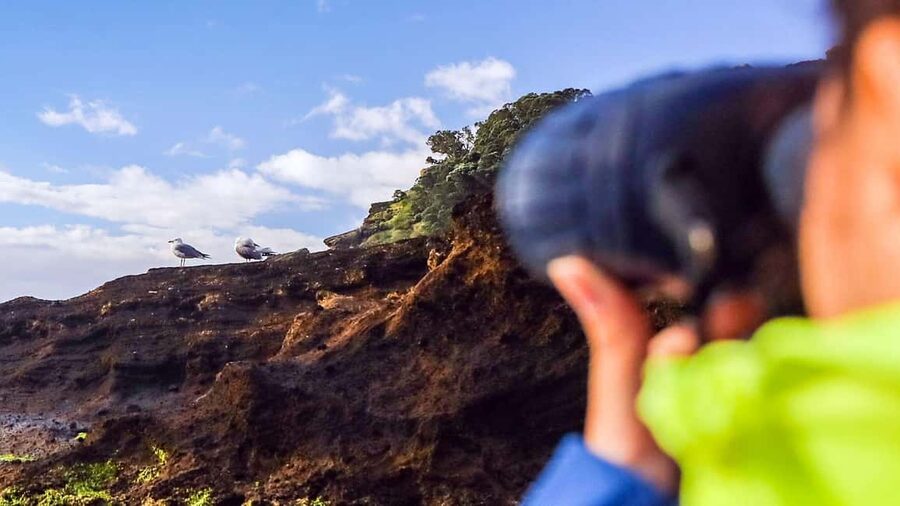 Inside Vila Franca Islet: Guided Nature Reserve Eco Tour - What the Guide Adds