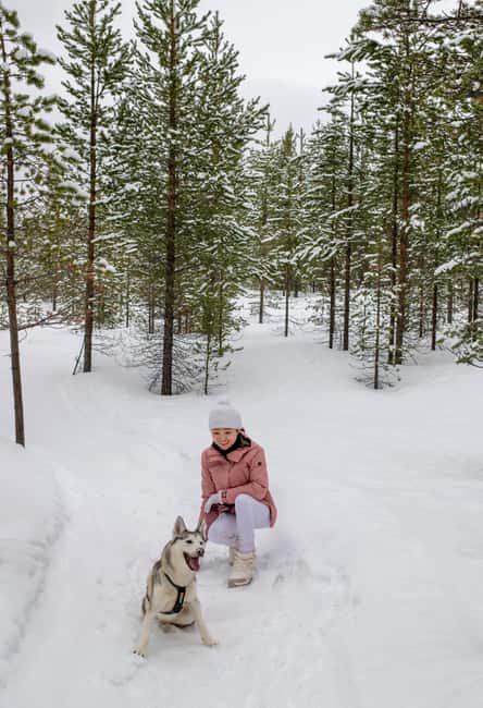 Ivalo - Saariselkä: Husky Walk in the Wilderness - Walking Through the Lapland Forest