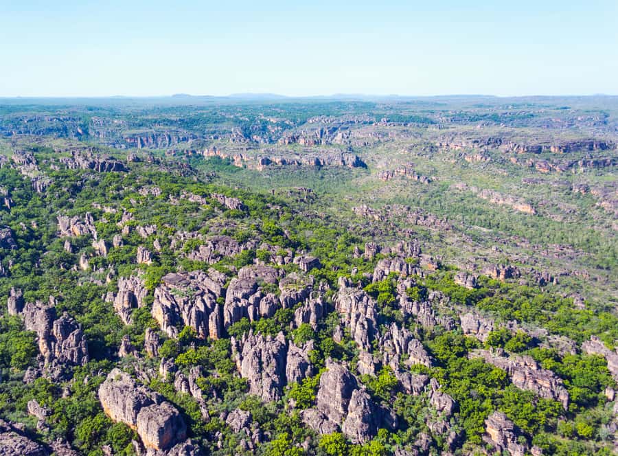Jabiru: 30 minute Scenic flight over Kakadu National Park - Who should book this flight?