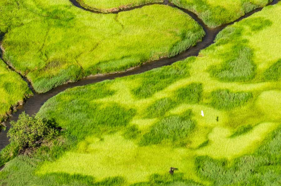 Jabiru: Guided Flight over Kakadu National Park - Starting at Jabiru Aerodrome