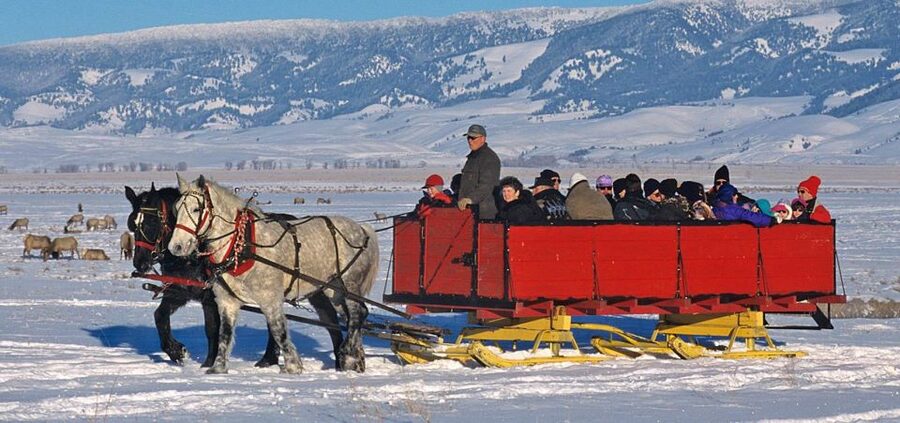 Jackson: Grand Teton and National Elk Refuge Winter Day Trip - Why winter is the right time for this wildlife outing
