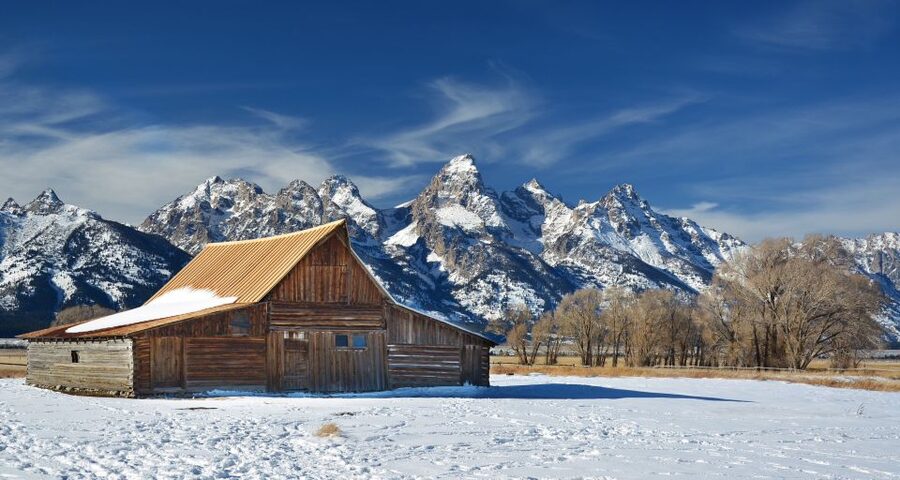 Jackson: Grand Teton and National Elk Refuge Winter Day Trip - Searching Grand Teton for moose, sheep, and eagles