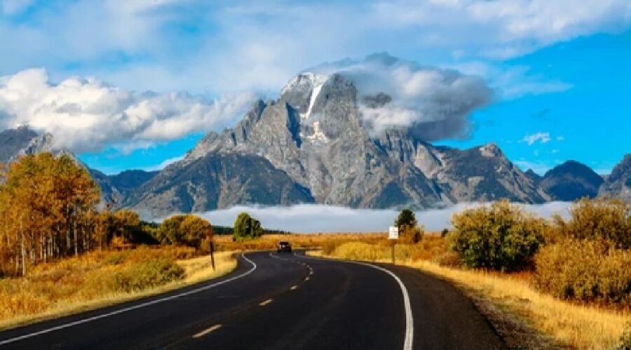 Jackson: Grand Teton National Park Guided Wildlife Tour - Who should book this tour?