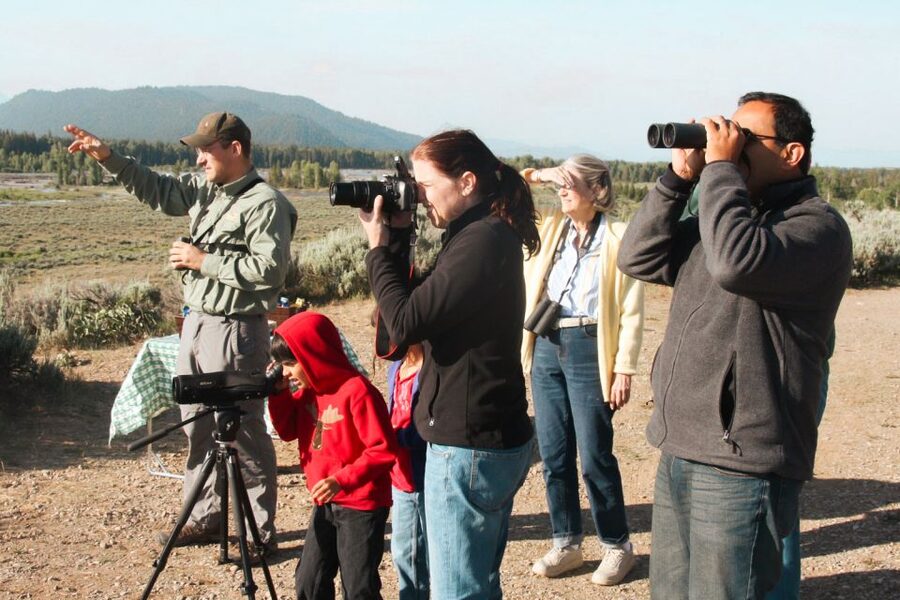 Jackson: Grand Teton National Park Guided Wildlife Tour - Is $159 a fair price?
