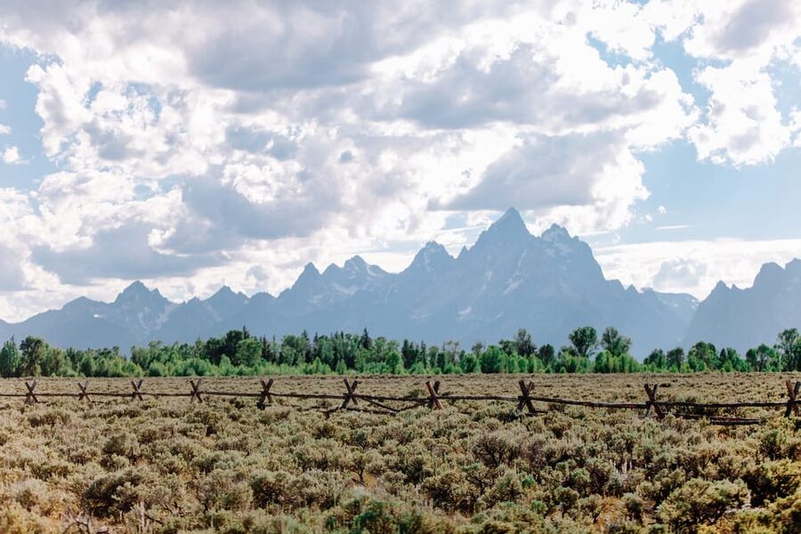 Jackson: Grand Teton Sunrise Safari with Naturalist Guide - How the Wildlife Search Actually Works