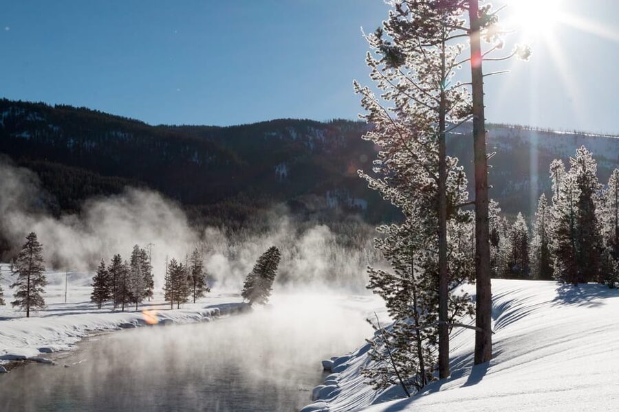 Jackson: Yellowstone Snowcoach Tour to Old Faithful - Who Should Book This Snowcoach Day