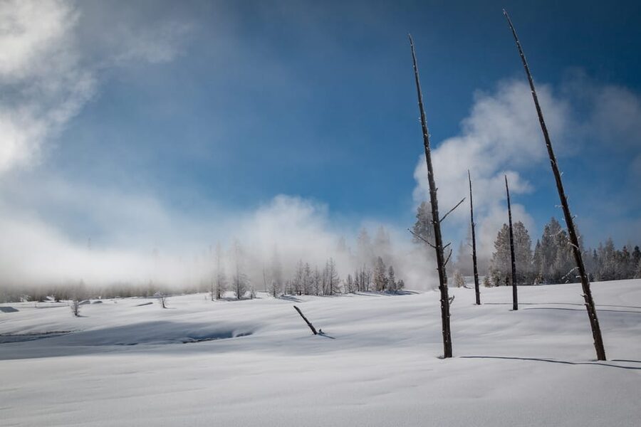 Jackson: Yellowstone Snowcoach Tour to Old Faithful - Old Faithful in a Winter Setting