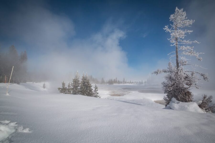 Jackson: Yellowstone Snowcoach Tour to Old Faithful - Lunch and the Long Ride Home