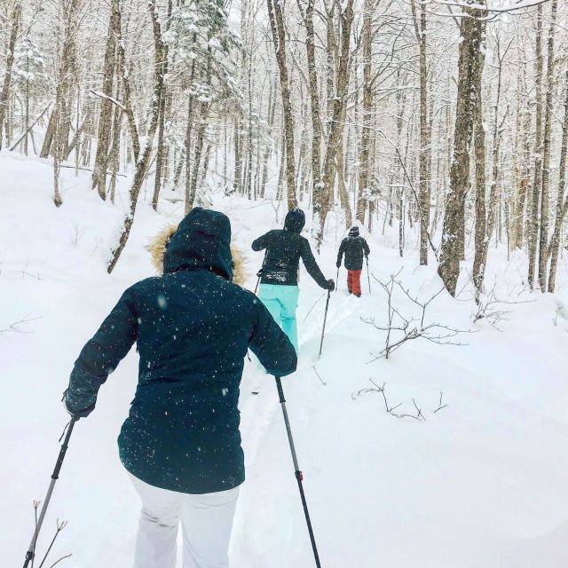Jacques-Cartier National Park: Skiing Excursion - Why ski-shoeing is a good fit for Jacques-Cartier