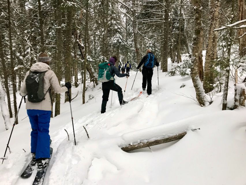 Jacques-Cartier National Park: Skiing Excursion - Lunch and hot chocolate included