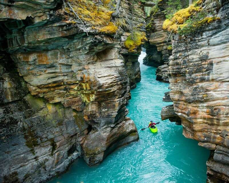 Jasper: Maligne Valley Wildlife & Spirit Island Cruise - Who should book this Maligne Valley tour