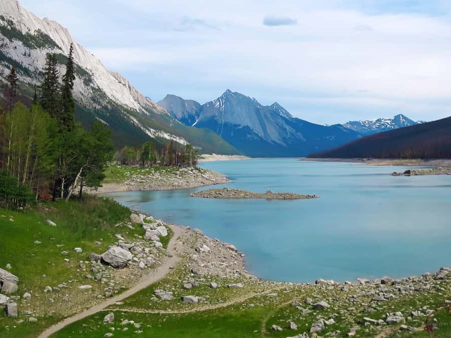 Jasper: Wildlife and Waterfalls Tour with Lakeshore Hike - Wildlife: great possibilities, no promises
