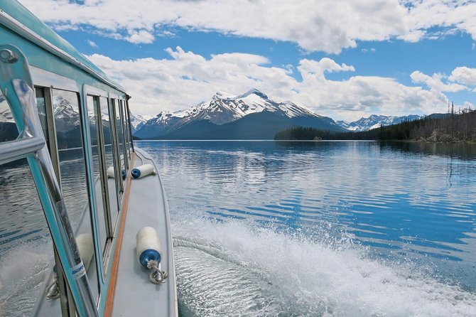 Jasper Wildlife & Sightseeing Tour with Maligne Lake Cruise - Wildlife: what you might actually see