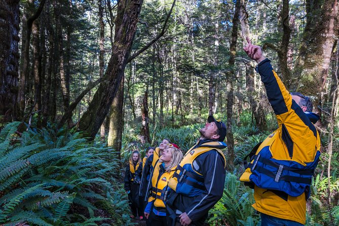 Jet Boat Journey through Fiordland National Park - Pure Wilderness - A short walk adds real value