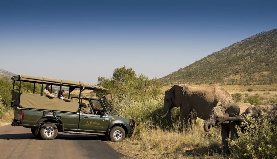 Johannesburg: 2-Day 4-Star Pilanesberg Safari - Is the $609 price good value?