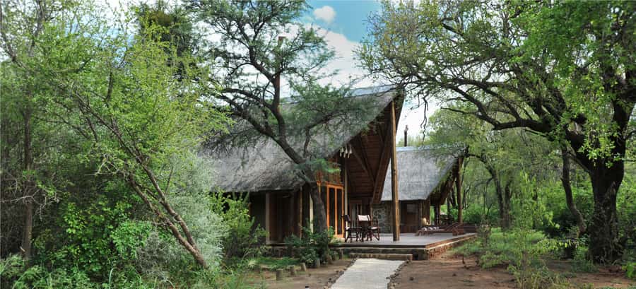 Johannesburg: 2-Day 4-Star Pilanesberg Safari - Who will get the most from this trip?