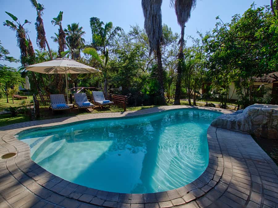 Johannesburg: 3-Day Classic Kruger National Park Safari Tour - The Marula Tree Boma bush barbecue