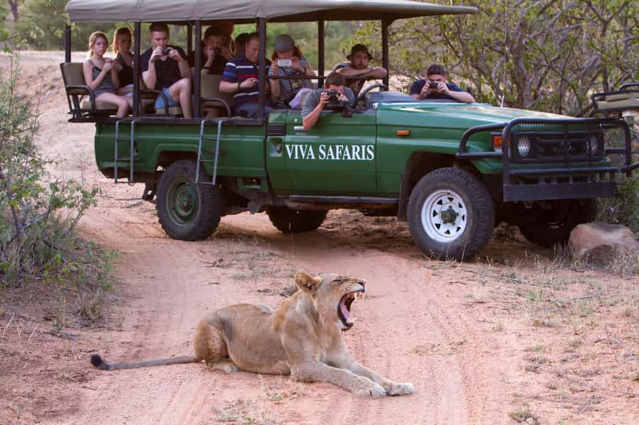 Johannesburg: 3-Day Classic Kruger National Park Safari Tour - Day two in the Orpen and Satara region