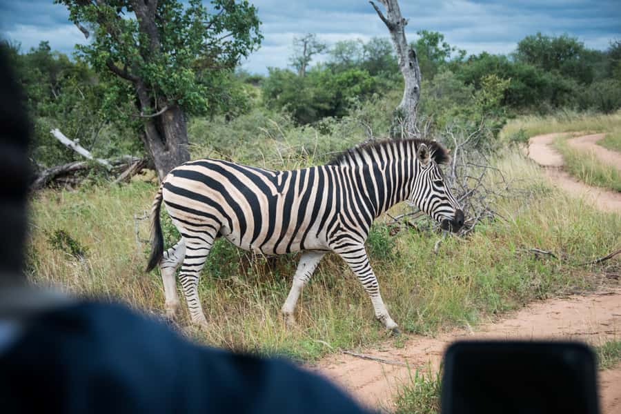 Johannesburg: 3-Day Classic Kruger National Park Safari Tour - Sunrise before breakfast
