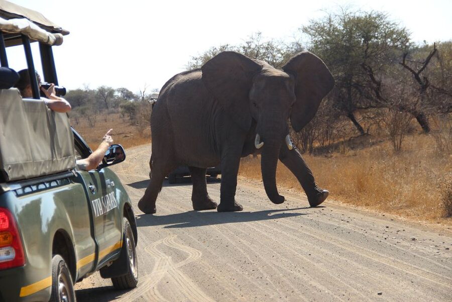 Johannesburg: 3-Day Classic Kruger National Park Safari Tour - What the $959 price covers