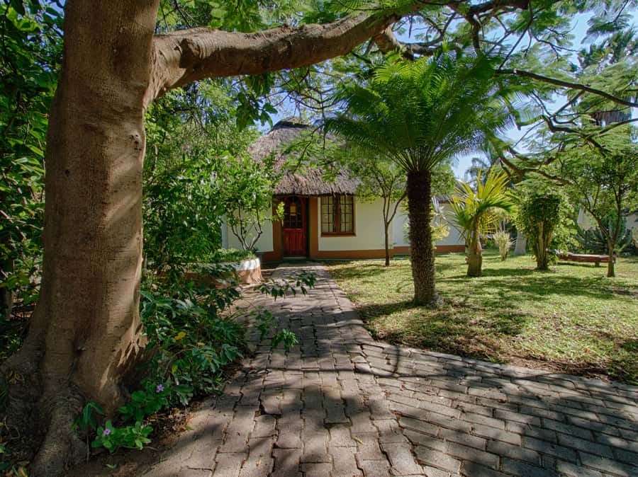Johannesburg: 3-Day Classic Kruger National Park Safari Tour - Who will get the most from this trip