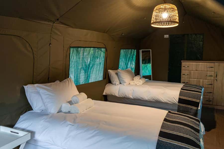 Johannesburg: 3-Day Kruger Budget Glamping Safari - Sunset wildlife in the Blue Canyon Reserve