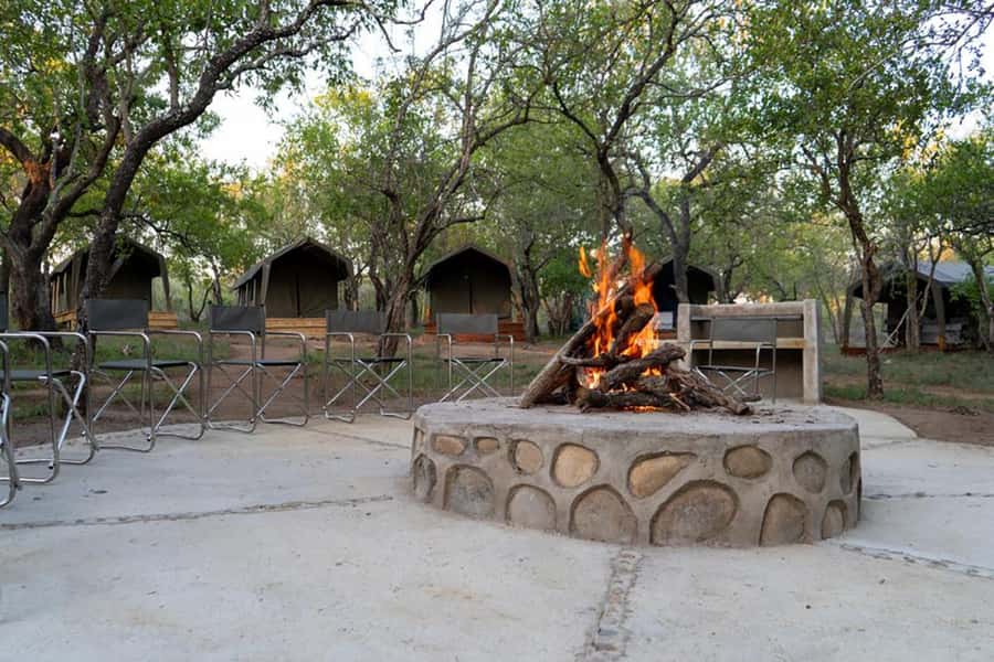 Johannesburg: 3-Day Kruger Budget Glamping Safari - Who will enjoy this safari most