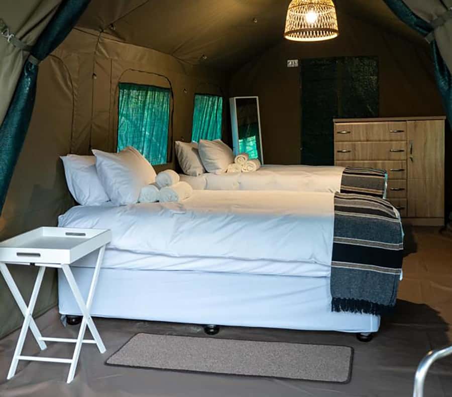 Johannesburg: 3-Day Kruger Budget Glamping Safari - Should you book the 3-day Kruger glamping safari?