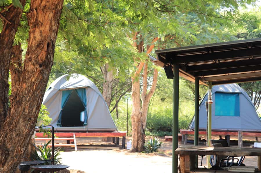 Johannesburg: 3-Day Pilanesberg Camping Adventure - Tlou Tented Safari Camp: camping without carrying a tent