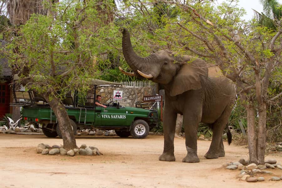 Johannesburg: 4-Day Classic Kruger National Park Safari - A full day inside Kruger National Park