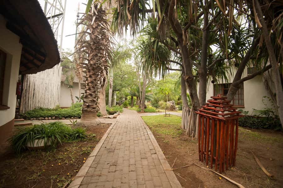 Johannesburg: 4-Day Classic Kruger National Park Safari - How much value do you get for $1,120?