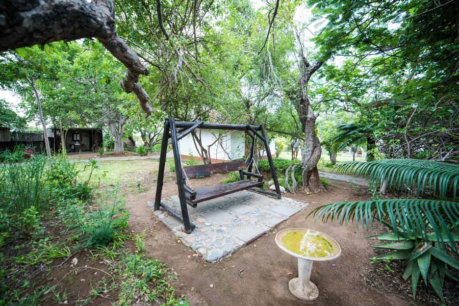 Johannesburg: 4-Day Classic Kruger National Park Safari - Who will enjoy this safari most?